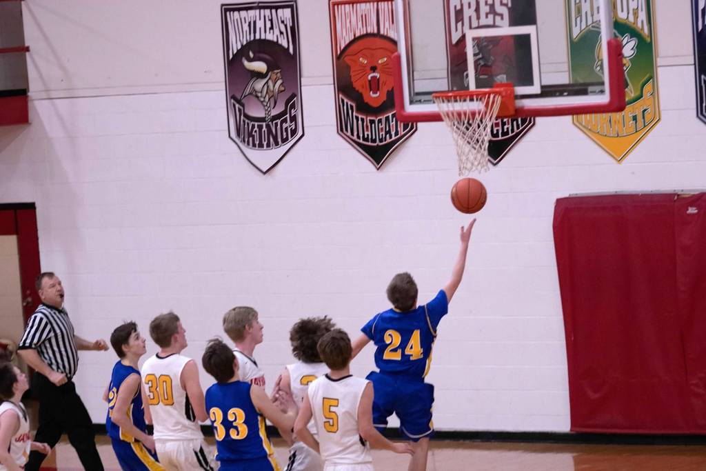 AMHS Boys JV vs Jayhawk Linn 2-21-2020