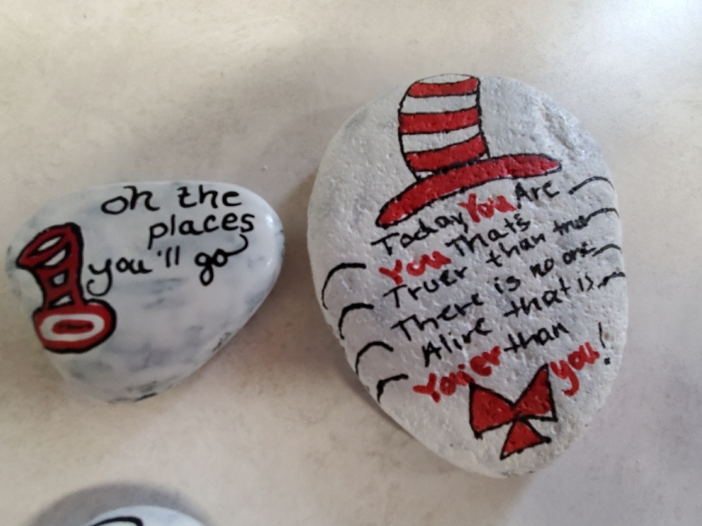 Rocks for the student's.