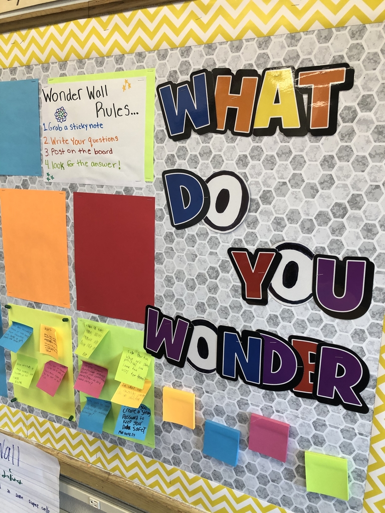 Our Wonder Wall!