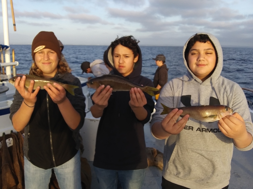 Anglers!