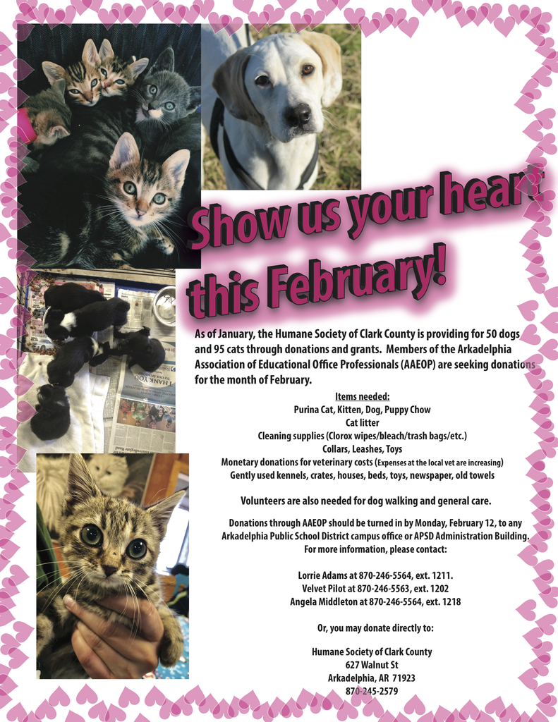 AAEOP Humane Society Fundraiser Flyer