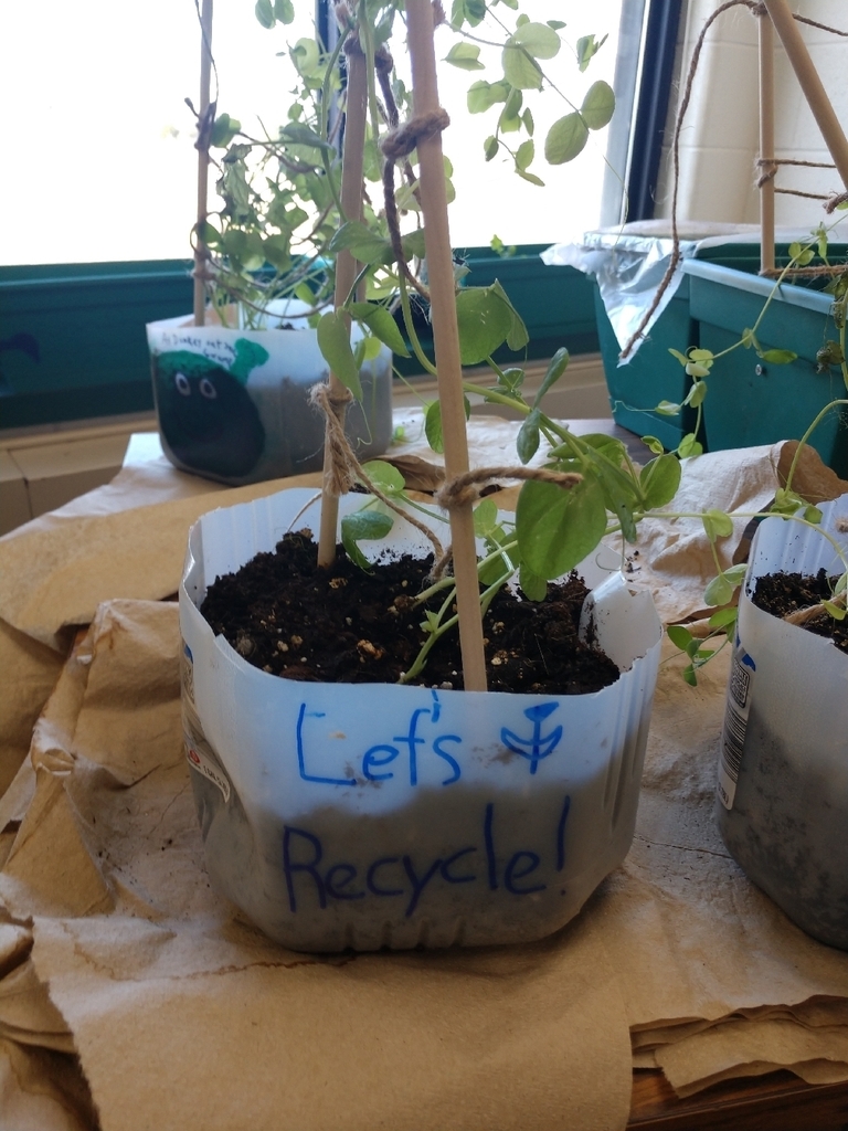 Our plants got some positive inspiration to grow today!#classroomgarden
