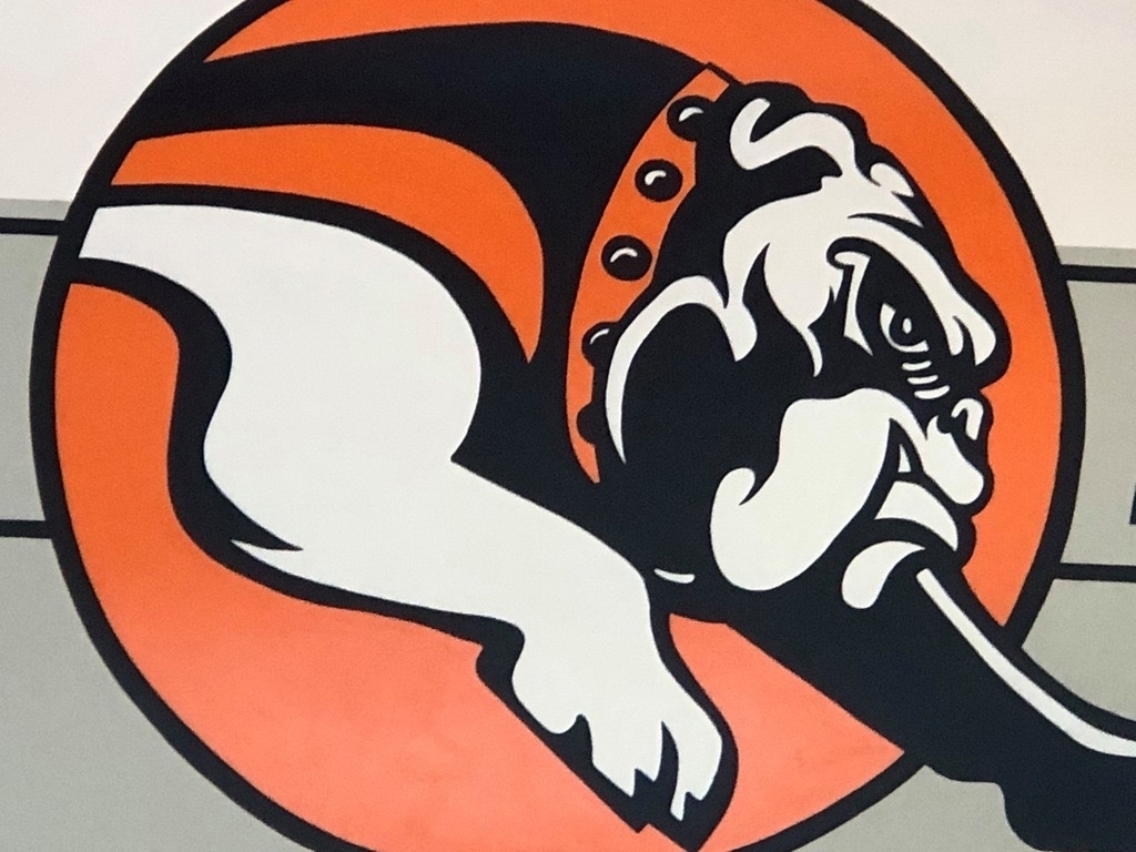 Bulldog 