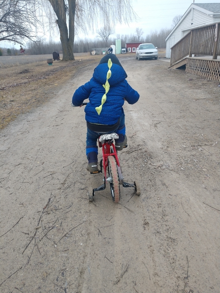 Did you do your Wolverine Workout today? We did! We also rode bikes, raked leaves, and picked up sticks! What have all of our little Wolverines been doing to stay busy?