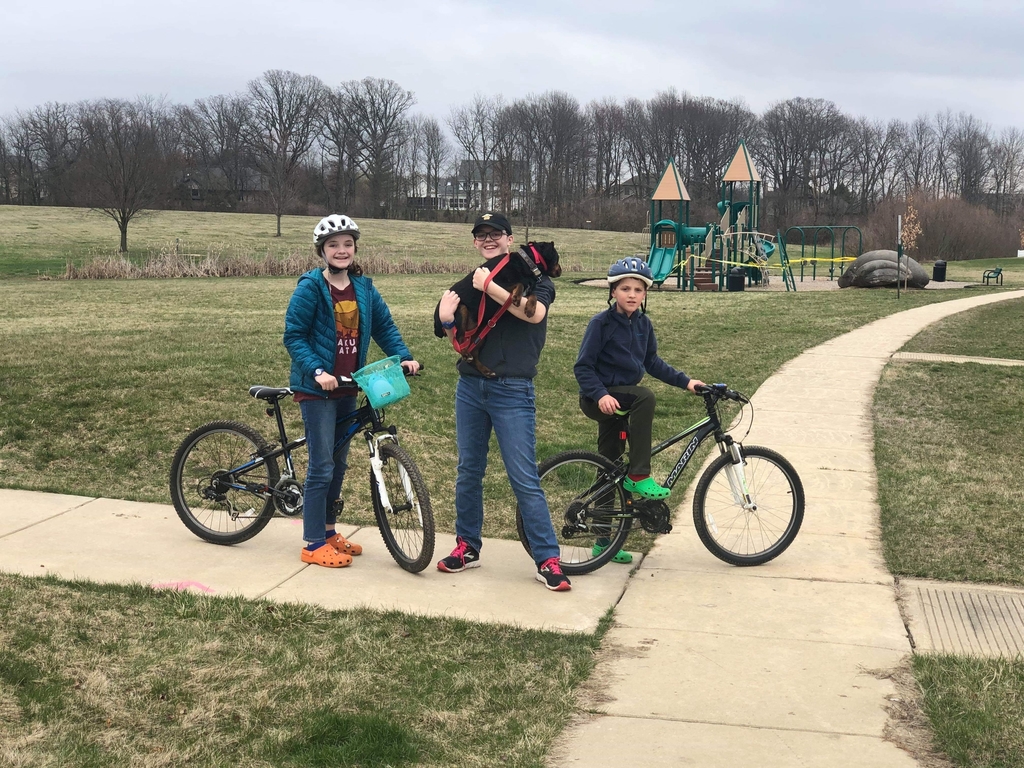 Bikes