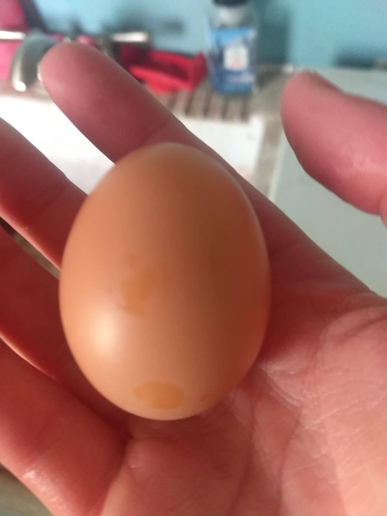 Her egg!