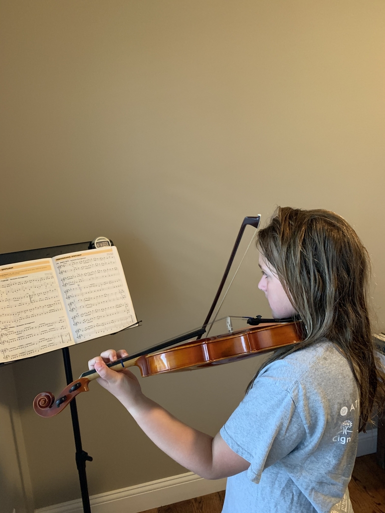 Violin