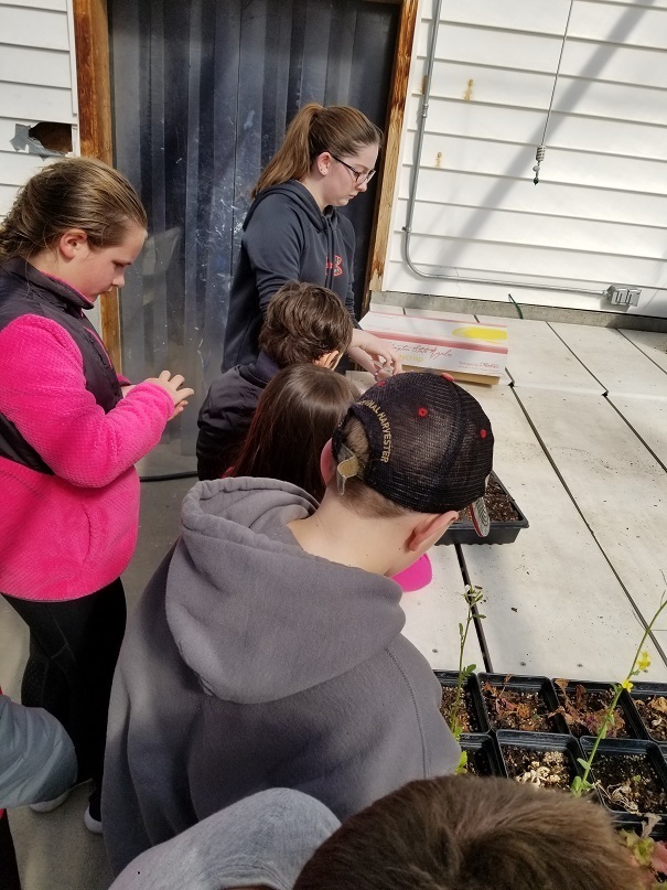 4th grade to greenhouse 3