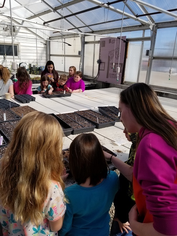 4th grade to greenhouse 4