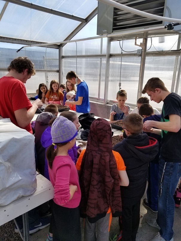 4th grade to greenhouse 6