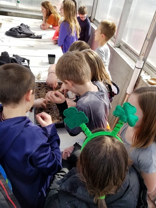 4th grade to greenhouse 7