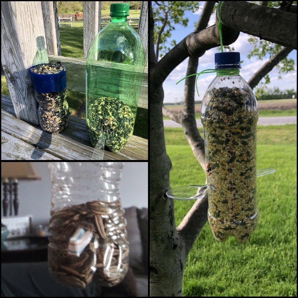 Bird feeders
