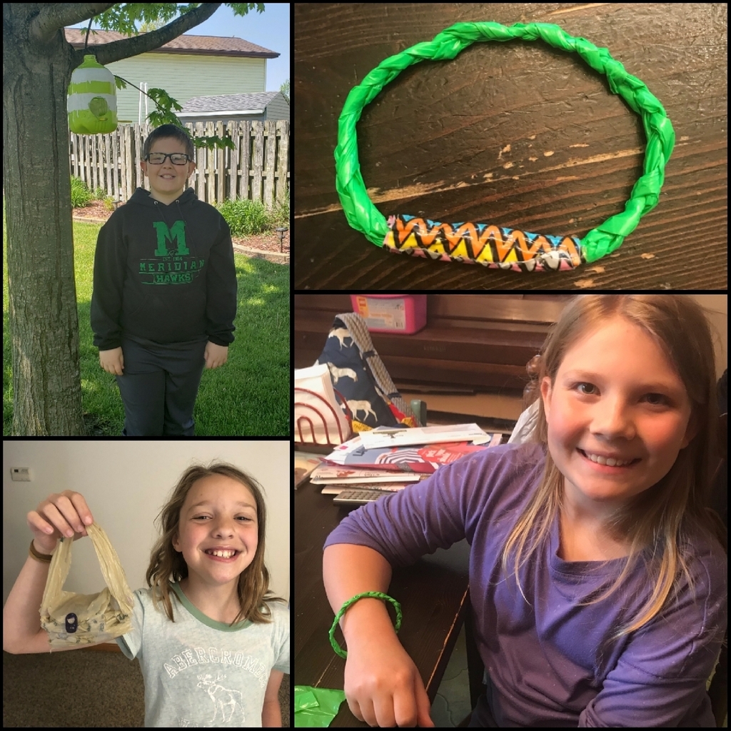 Bird house, bracelet, purse