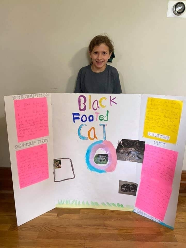 Animal research