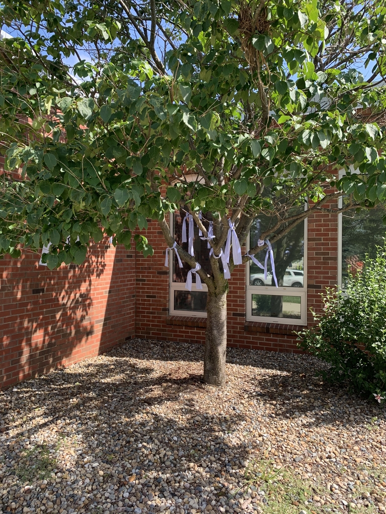 Wish tree 