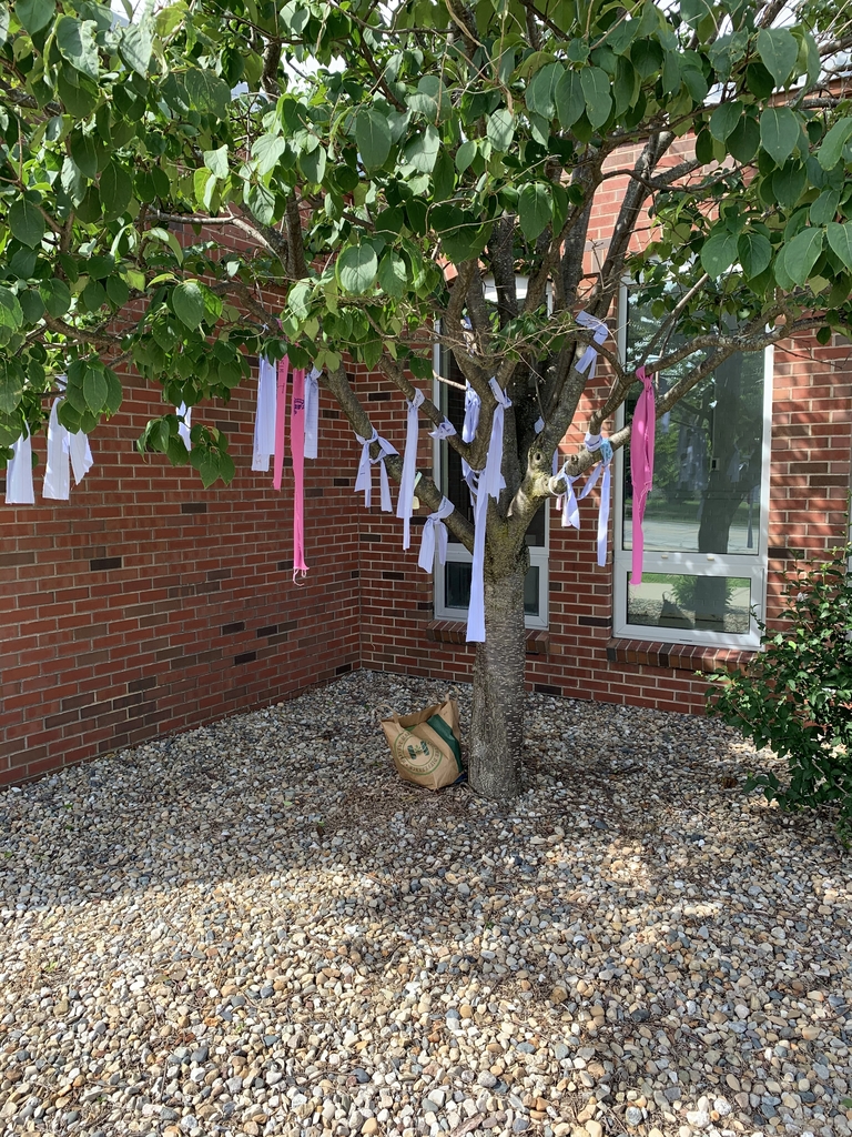 Wish tree 