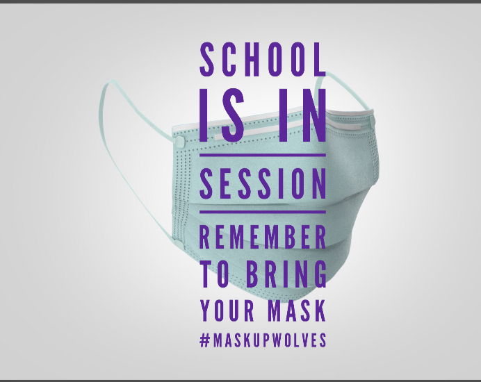 PSA mask