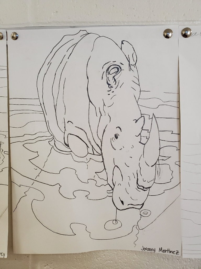 rhino