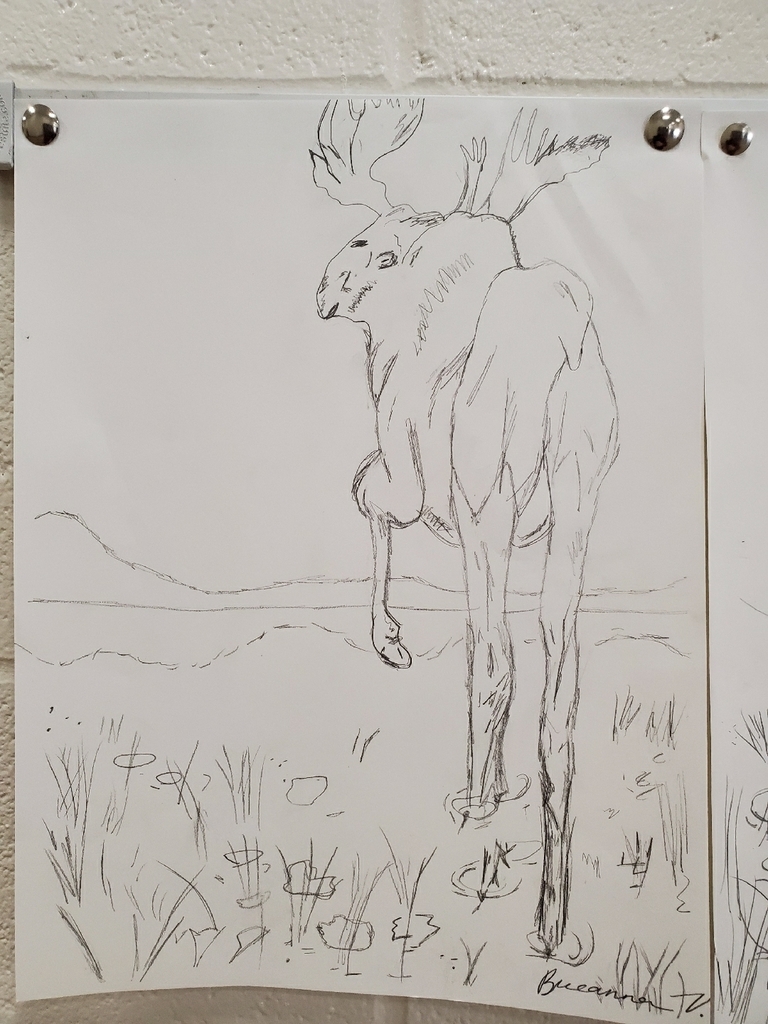 moose