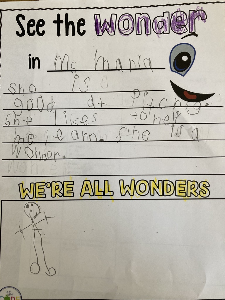 We're All Wonders