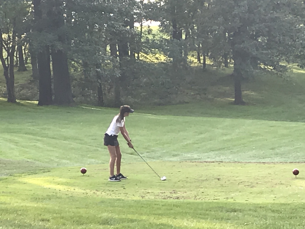 Golf g