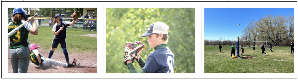 Spring sports