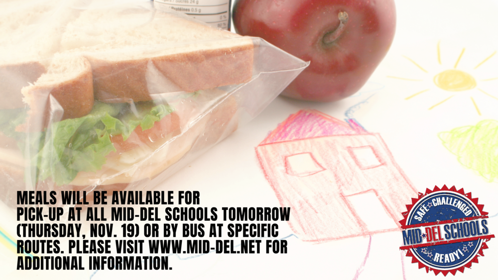 MEAL PICK-UP AND DELIVERY VIA BUS ROUTES FOR NOVEMBER 19, 2020