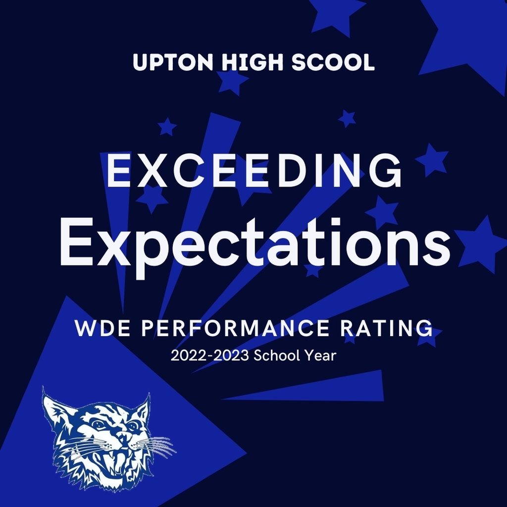 Exceeding Expectations - WDE Performance Rating